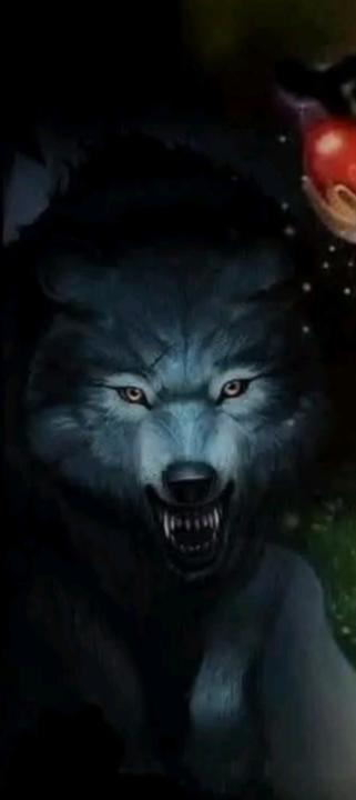 Isabel Reyes Bermúdes