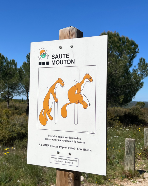Saute-mouton