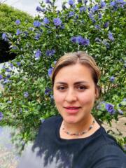 Gicuta Frant