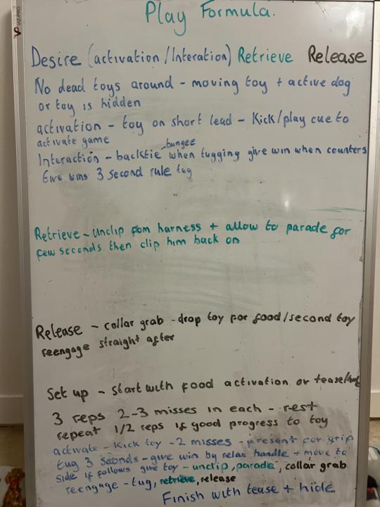 Freddie’s Play plan