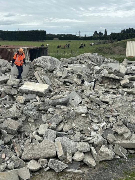 Day 116 - Back posting after a long break