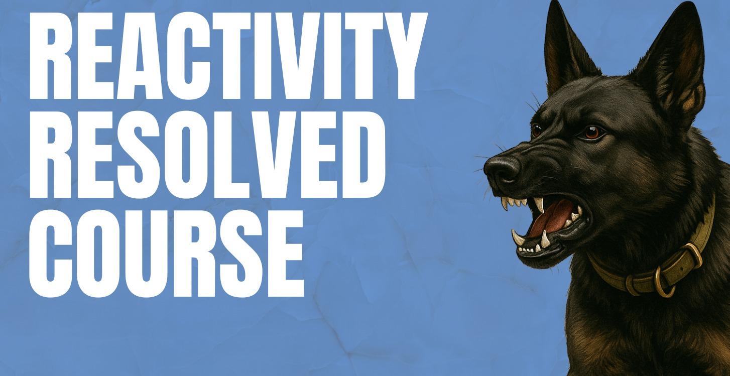 Reactivity Resolved Course