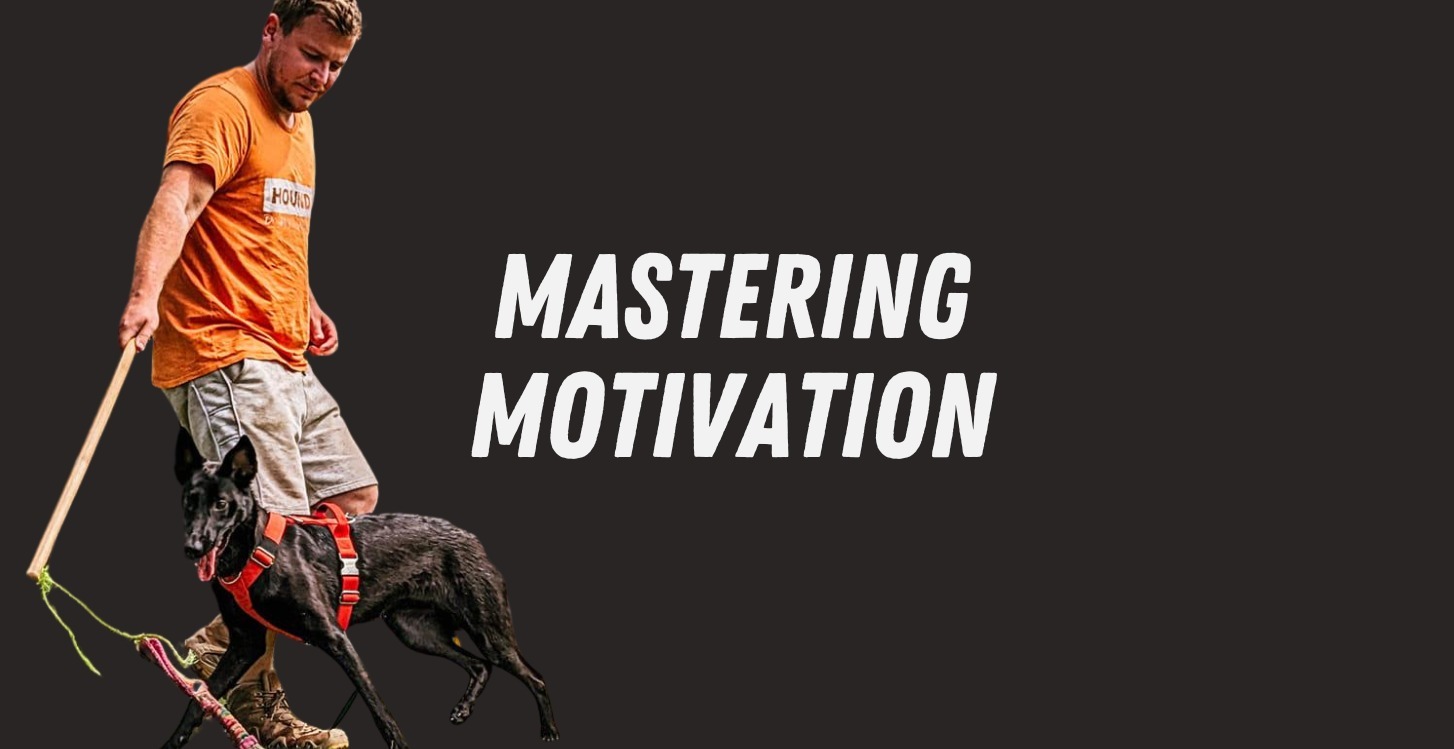 Mastering Motivation