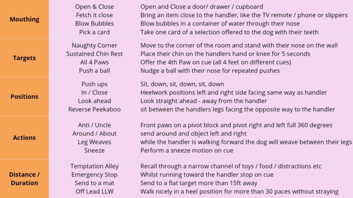 Daily Training - Day 1