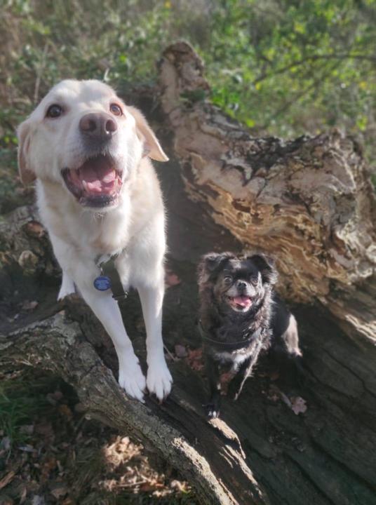 What Picture Are You Using? 🖼️