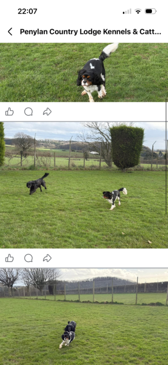 Mabel’s making friends!