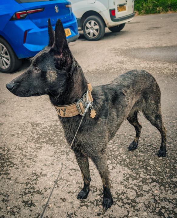 Day 210: My Birthday 🎂