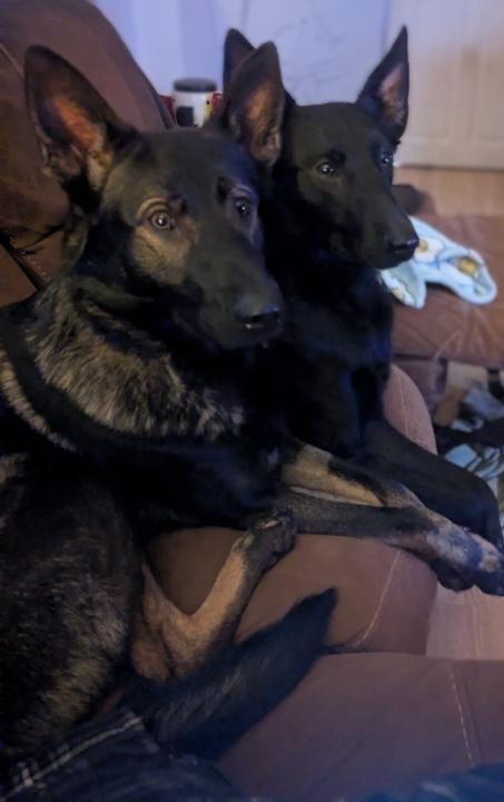 How Are You Spending NY? 