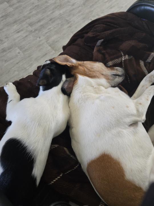 Good girls in the truck