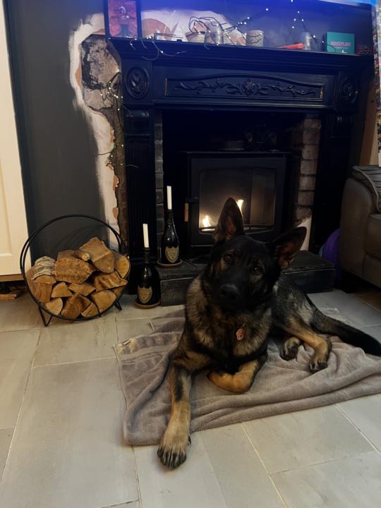 305-314 - just things and stuff 