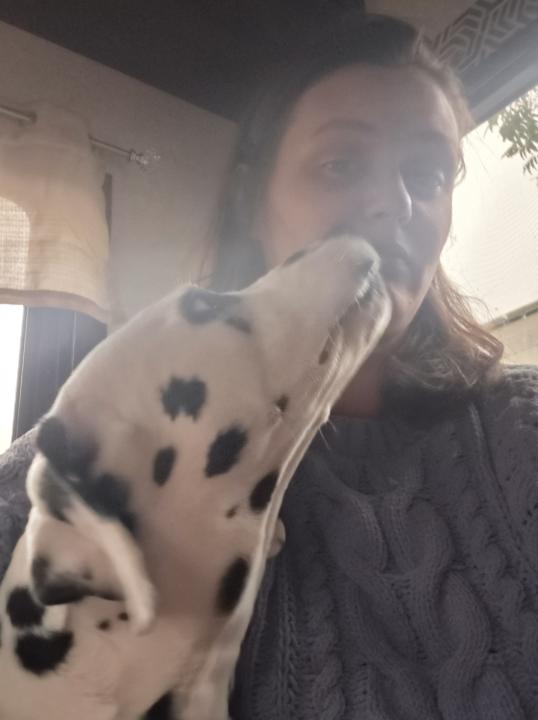 It's Everest's Golden Birthday 🎂 