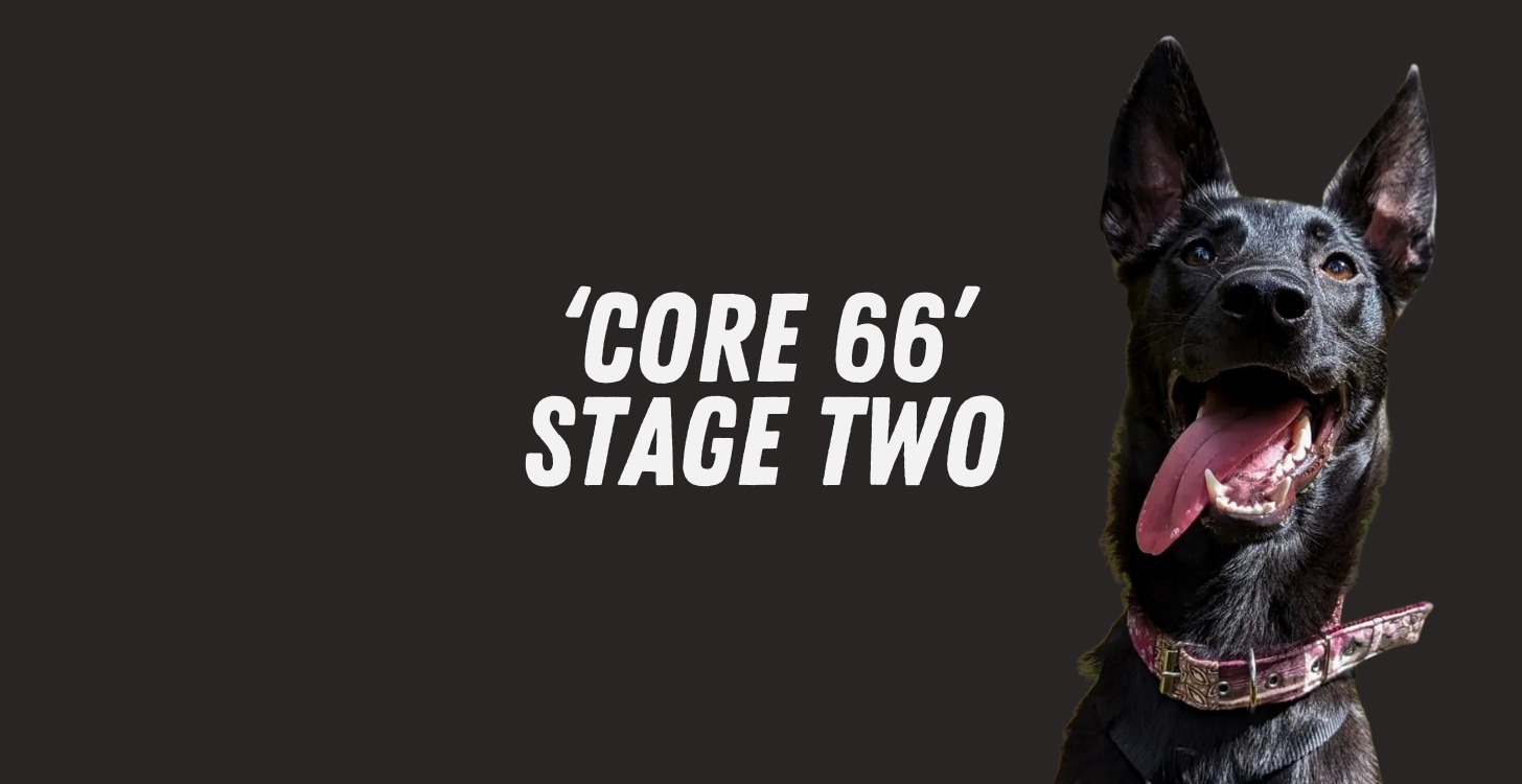 Core 66: Stage Two (15 - 28 Days)