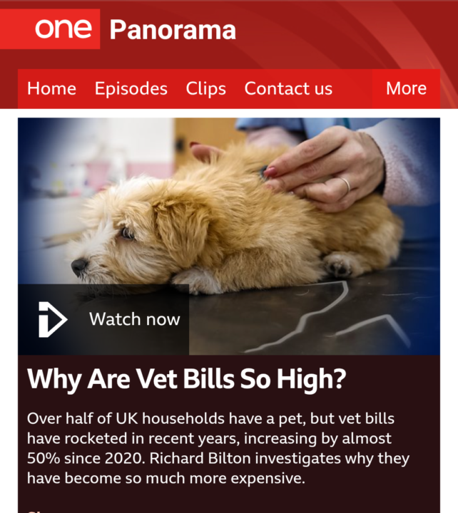 Are Vets Too Expensive? 