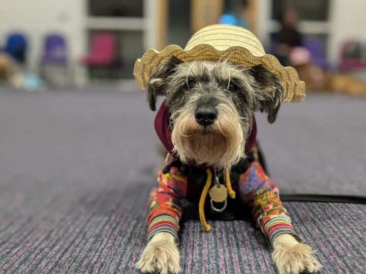 Day 27 - 5 things to do with a hat