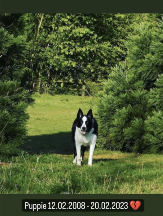 Taking a moment to myself .....