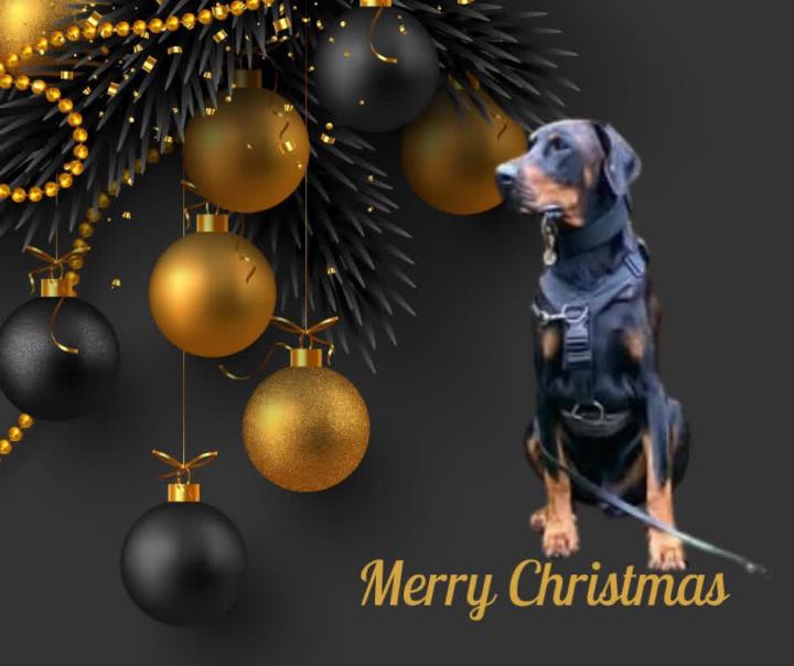 Merry Christmas everyone. 