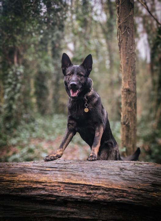 Not Another Picture Thread! 