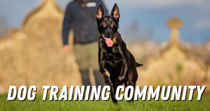 Dog Training Community