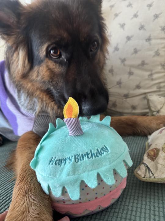 HAPPY BIRTHDAY MAGGI