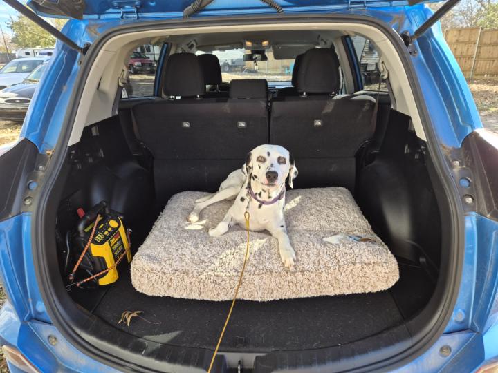 Everest has a new bed!