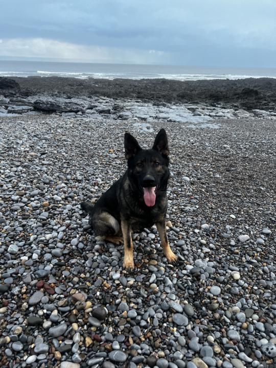 336-342 return of IGP, instagram fame, beach 