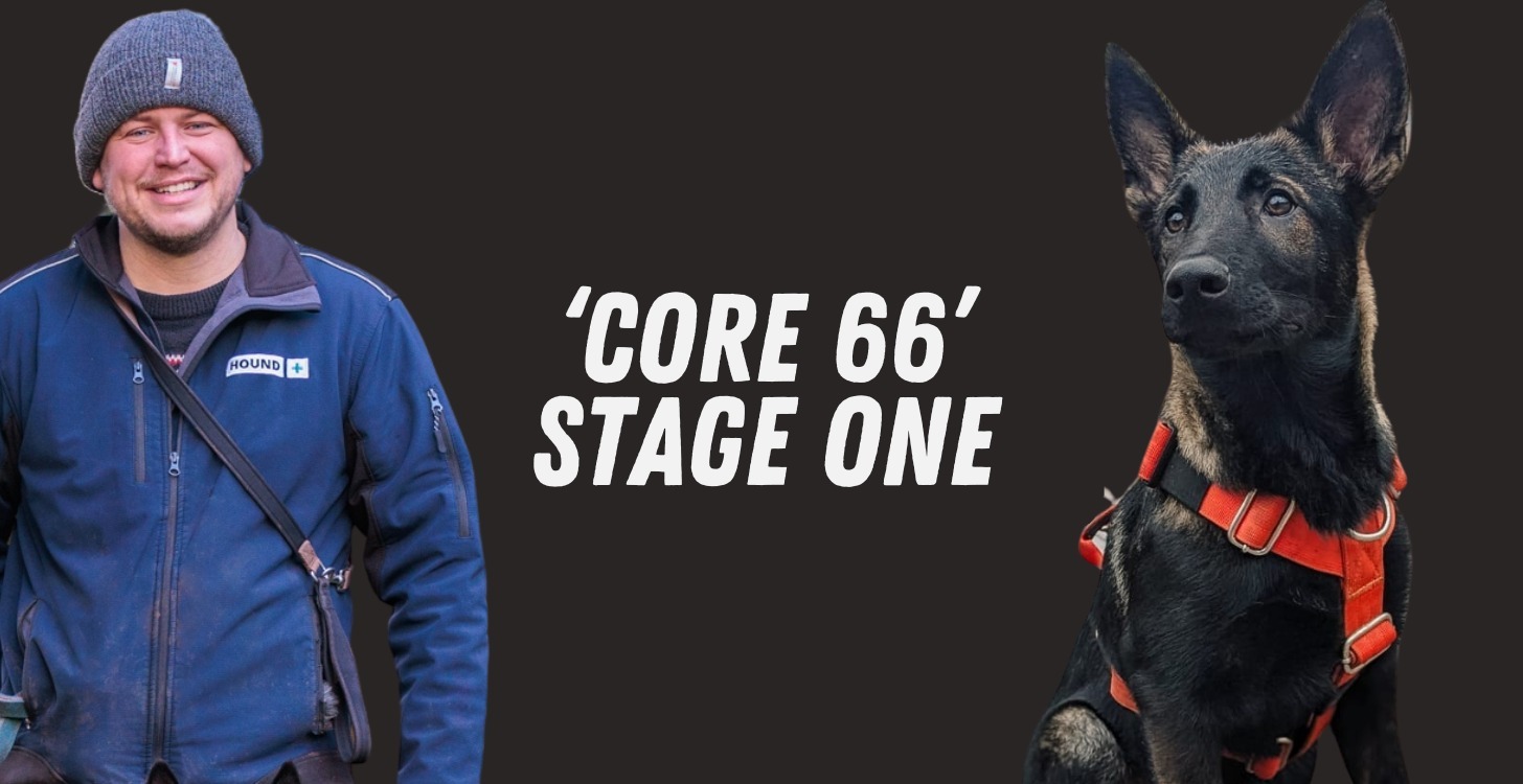 Core 66: Stage One (0 - 14 Days)