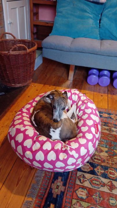 Day 313: Gearing Up for Tomorrow!!!