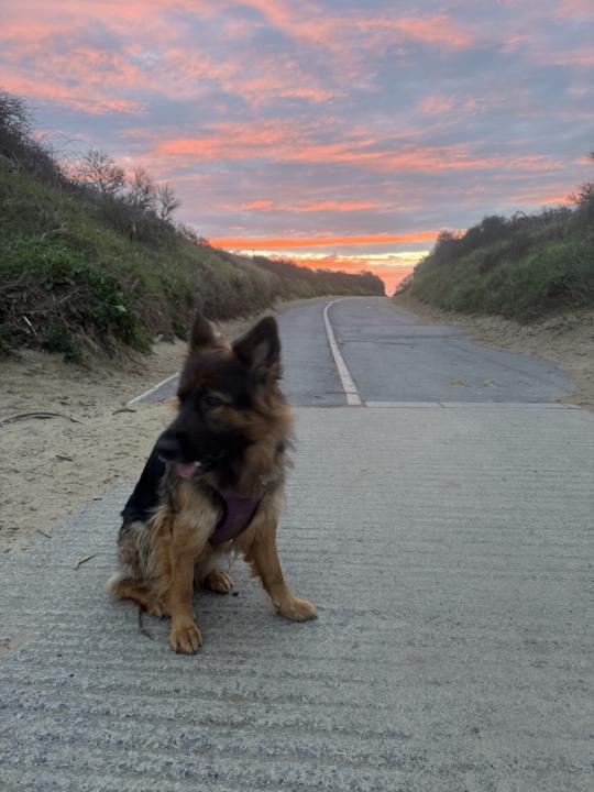 Great day for walking