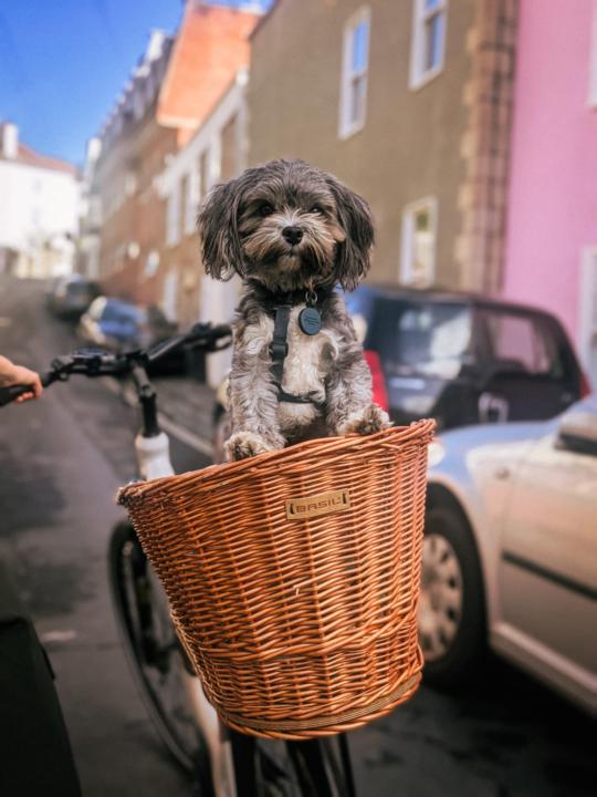 I had to abandon the meet-up. 