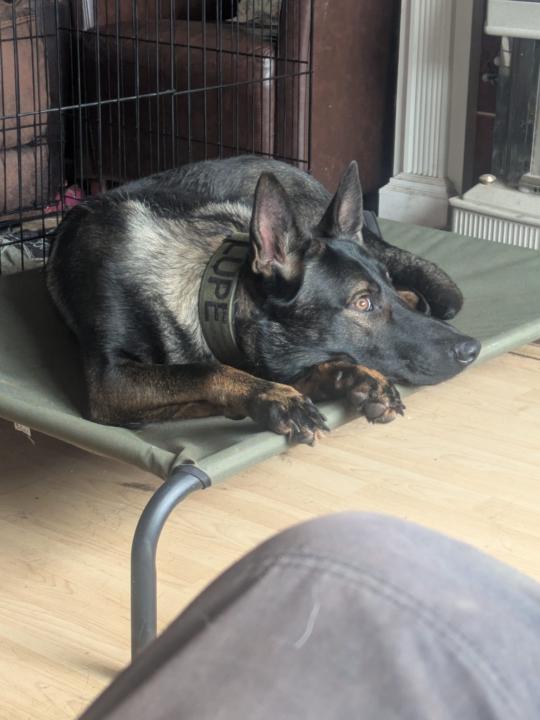 Have You Tried Tethering? 