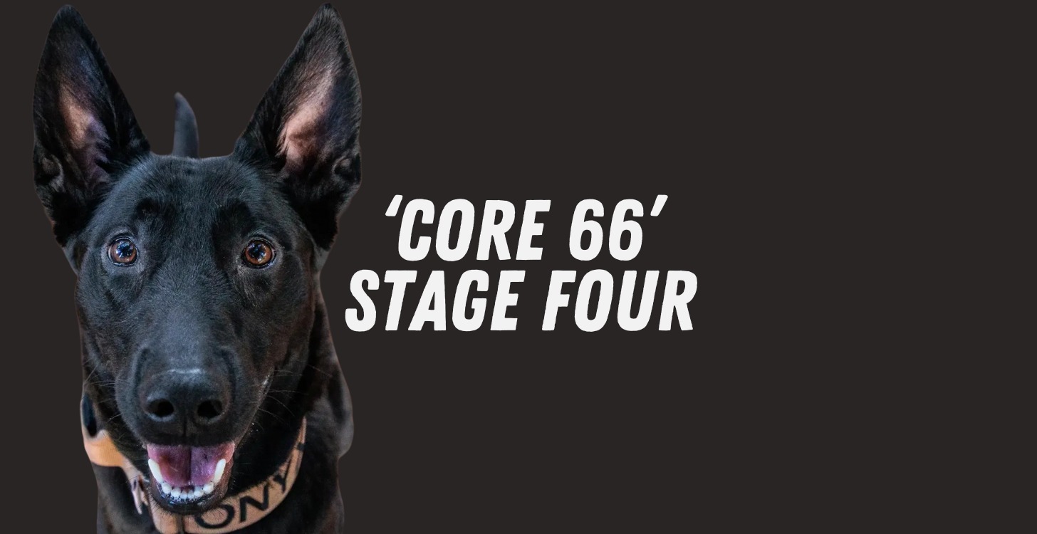 Core 66: Stage Four (43 - 66 Days)