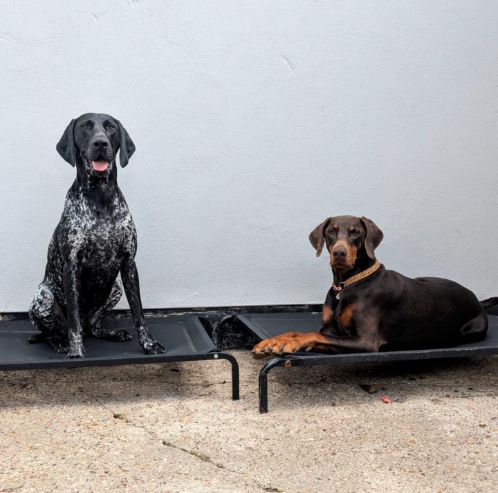 128-130 chaos and calm 🦔