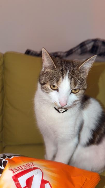 Leo Trümpy