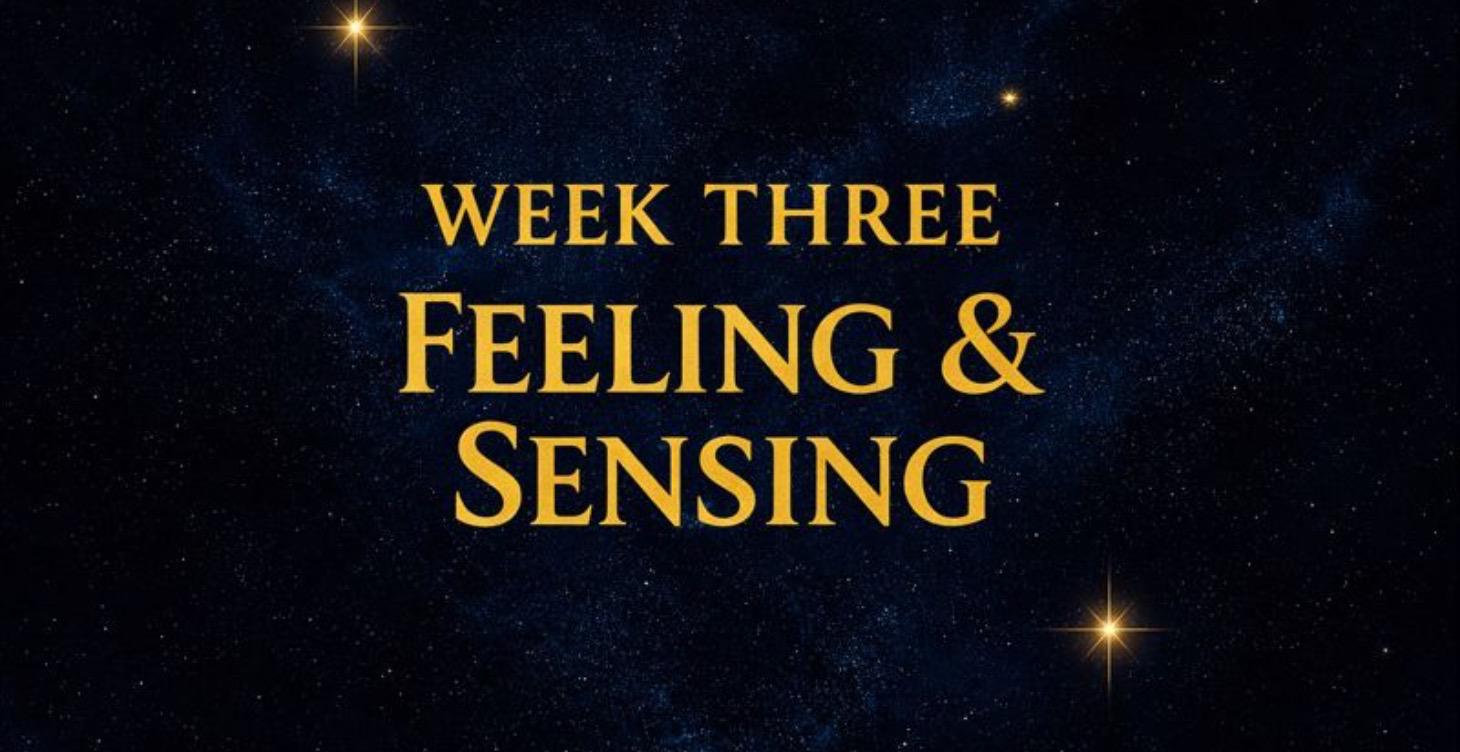 Week Three: Feeling & Sensing 🌊