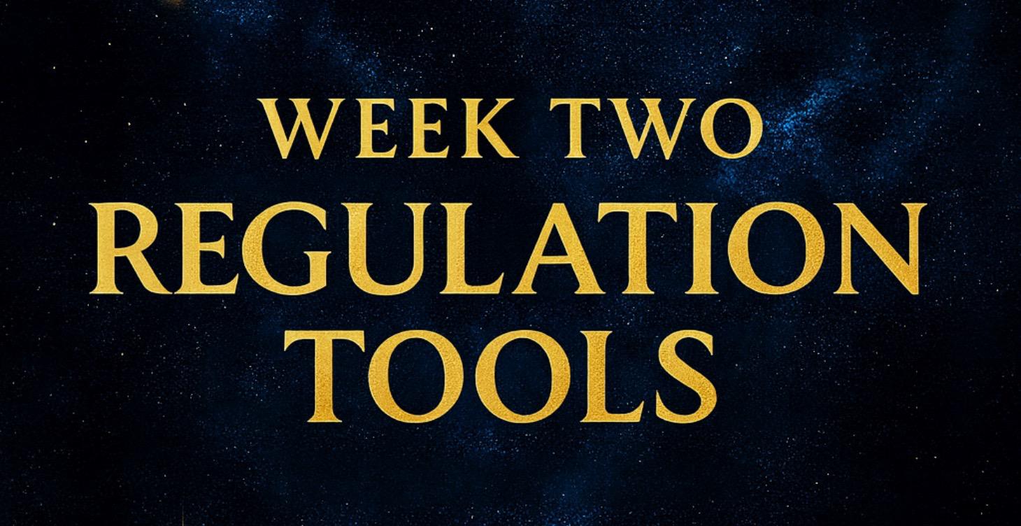 Week Two: Regulation Tools 🛠️