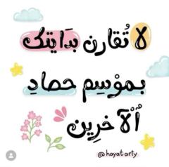 Musab Alhasheme