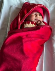 Saher Hamza