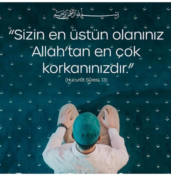 Mehmet Kayis