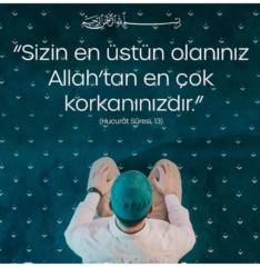 Mehmet Kayis