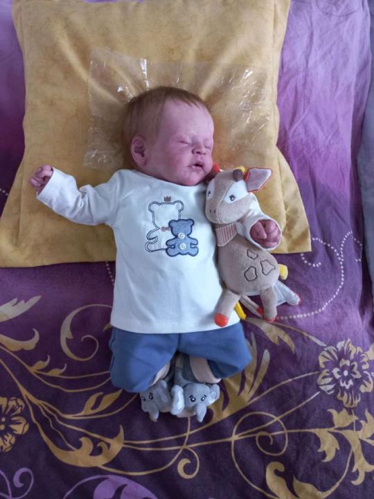 Milan sucht ein neues zu Hause