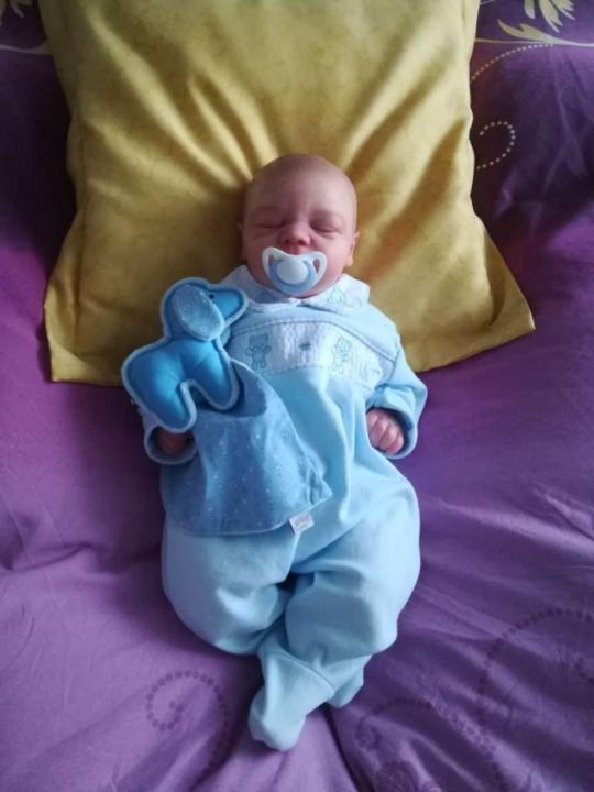 Michael sucht ein neues zu Hause