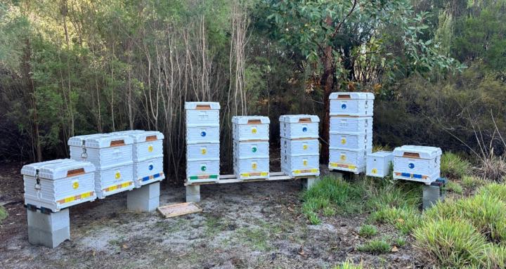 The Honest Beekeeper