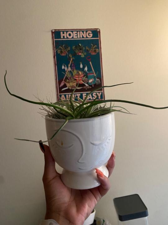 Dee King