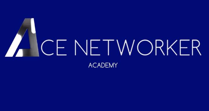 The Ace Academy