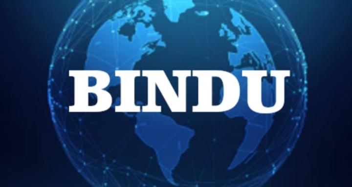 BINDU
