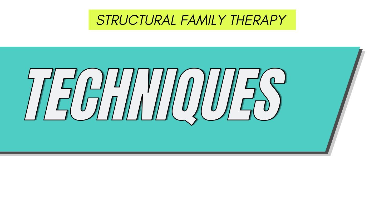 Family Therapy Techniques