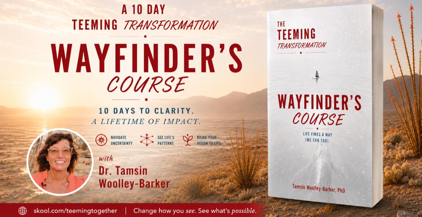 Wayfinders Course: A 10 Day TEEMING Transformation
