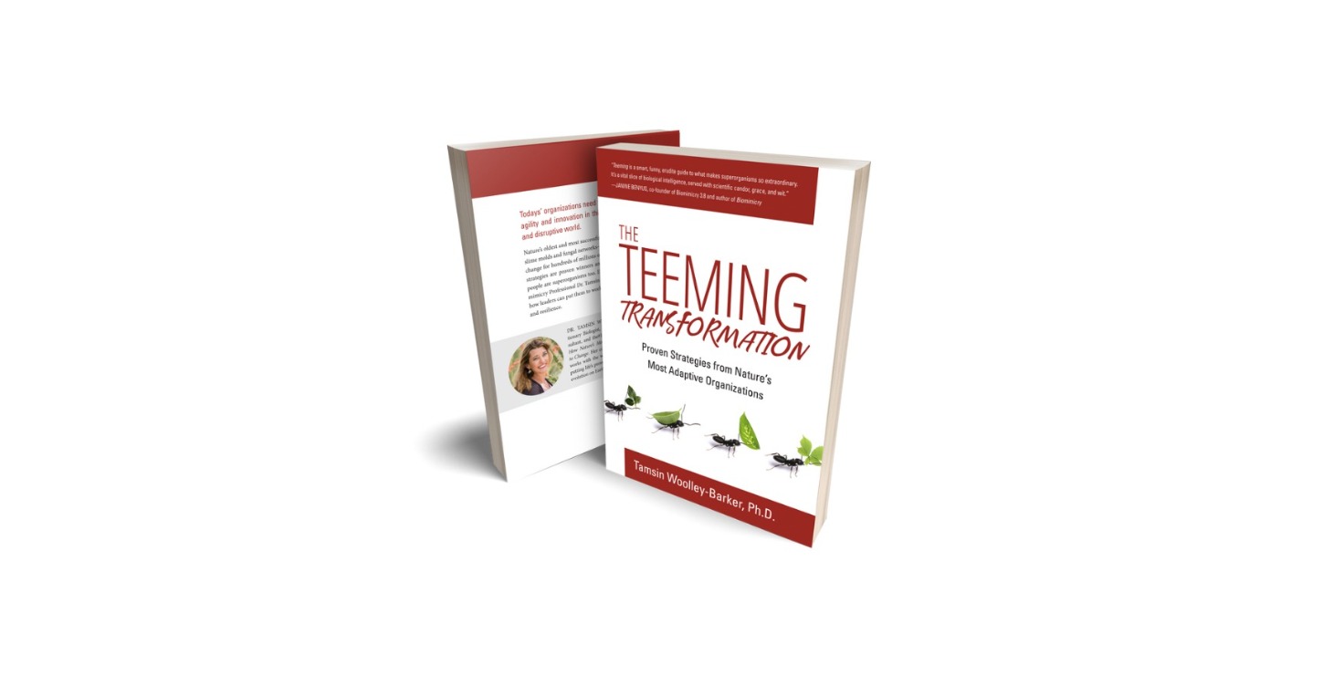 The Teeming Transformation Cover