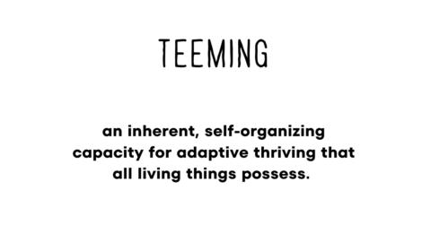 Your Teeming Transformation gallery image
