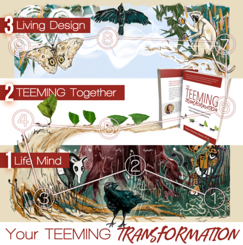 Your Teeming Transformation gallery image